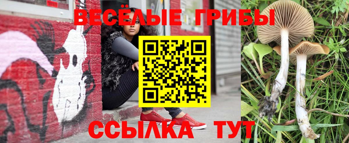 Галлюциногенные грибы мухоморы  Вход с VPN  Соль-Илецк 