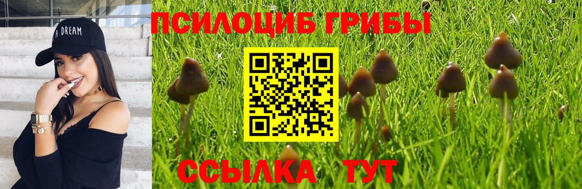 Псилоцибиновые грибы Magic Shrooms Соль-Илецк